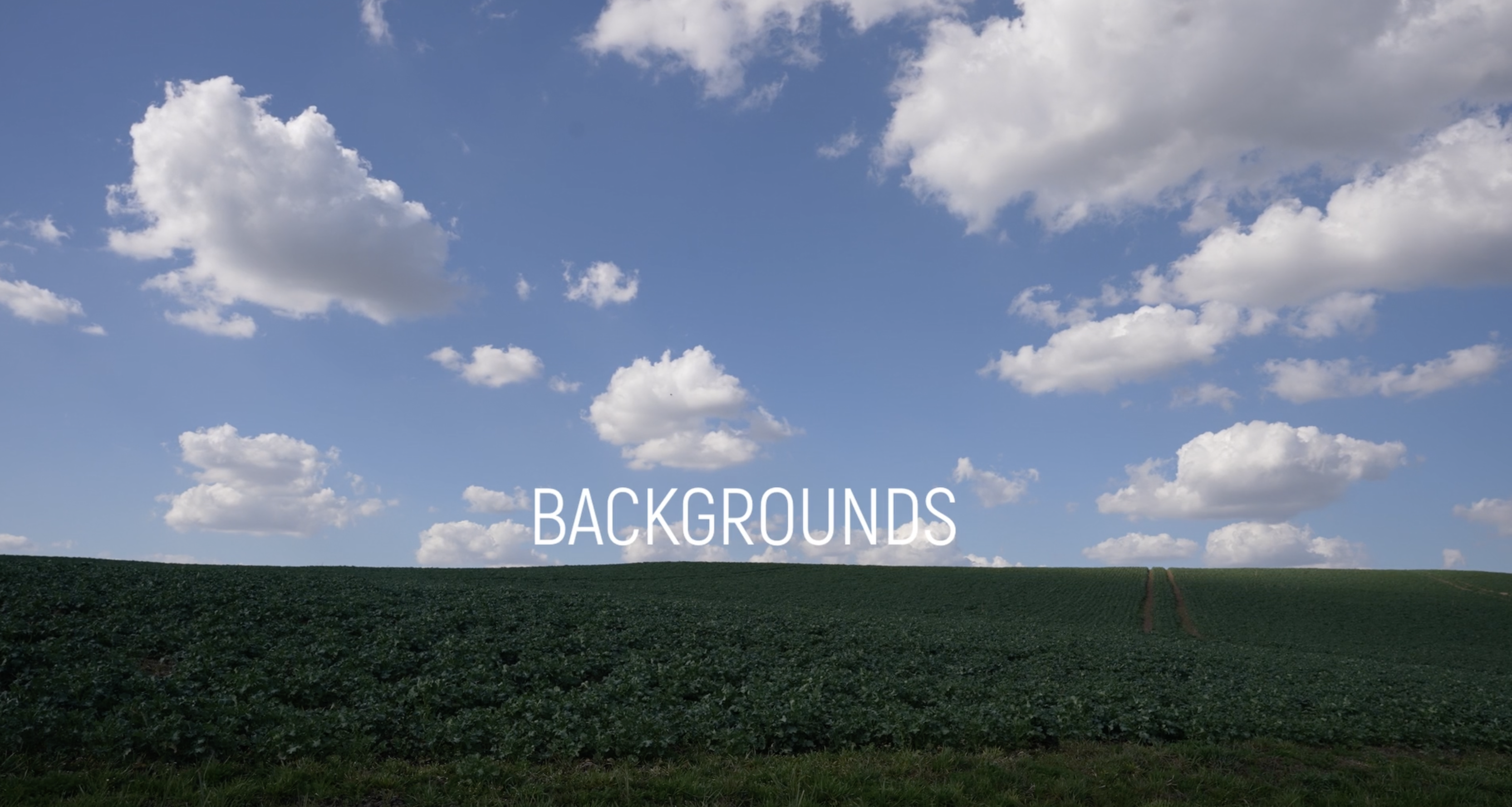 Backgrounds, 2025